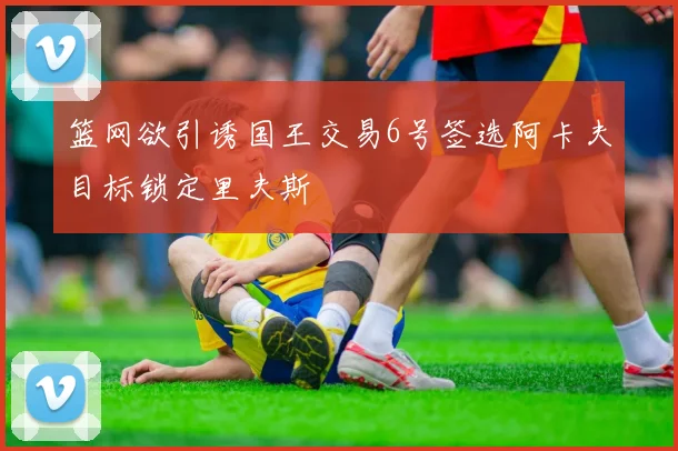 篮网欲引诱国王交易6号签选阿卡夫目标锁定里夫斯