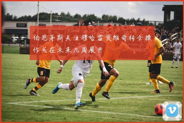 伯恩茅斯关注穆哈雷莫维奇转会操作或在未来几周展开