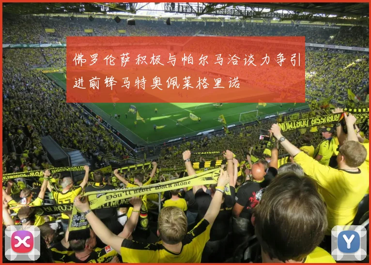 佛罗伦萨积极与帕尔马洽谈力争引进前锋马特奥佩莱格里诺